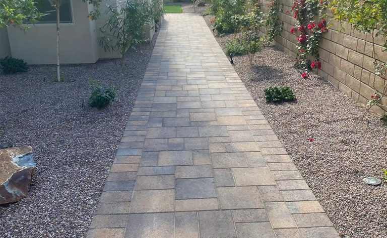 6 Steps to Successfully Plant a Tree and Ensure Its Growth