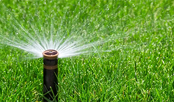 Irrigation services