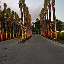 Maintenance and Support