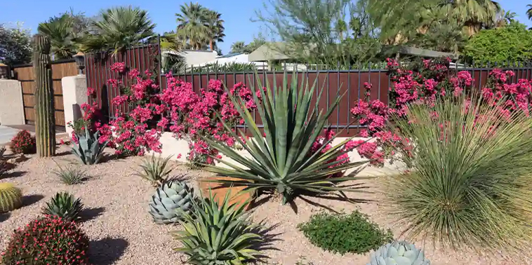 Tree Planting Services