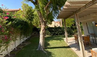 Tree planting services